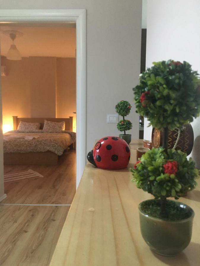 Trako'S Home Korça Kültér fotó